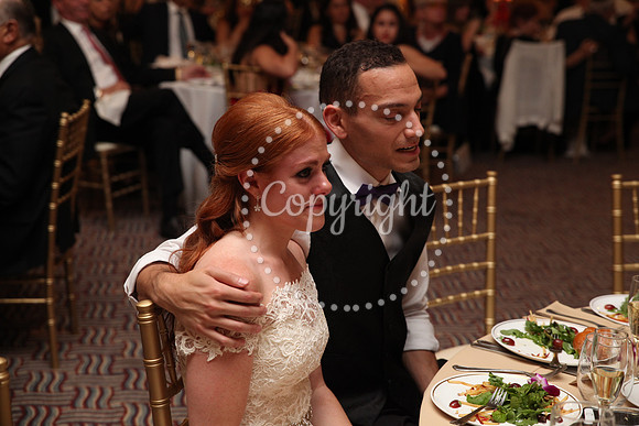 Speeches and Toasts (118)