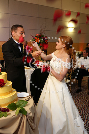 The Cake (21)