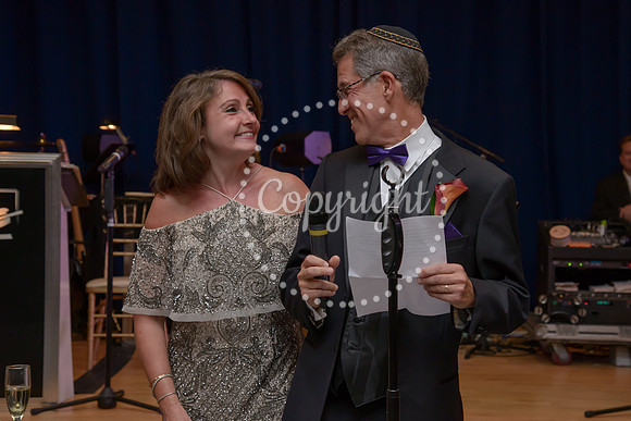 Speeches and Toasts (62)