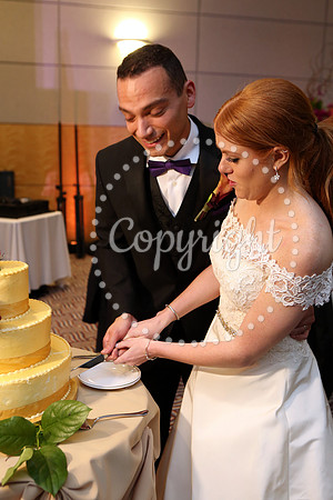 The Cake (4)