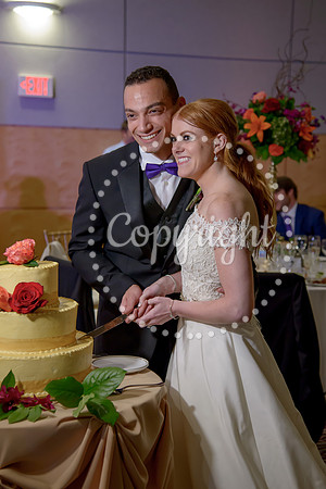 The Cake (40)