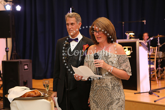 Speeches and Toasts (11)