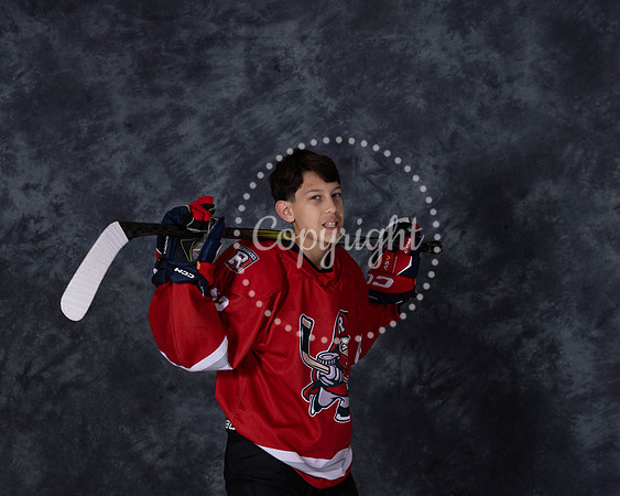 AY2A2131