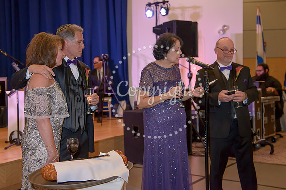 Speeches and Toasts (132)