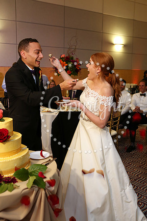 The Cake (22)