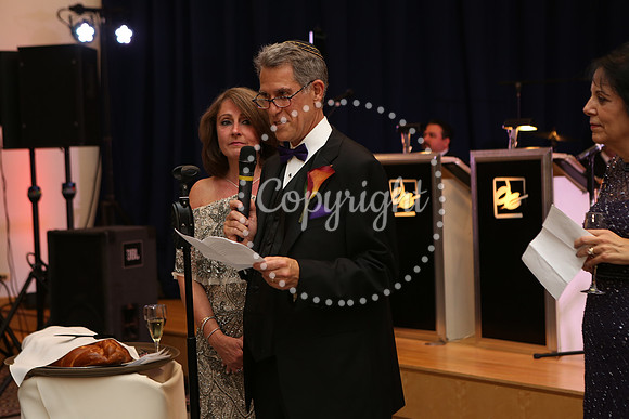 Speeches and Toasts (41)