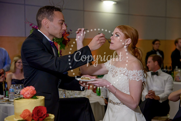 The Cake (45)