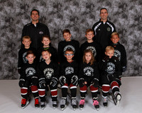 Mite Minor2