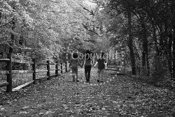 IMG_8645 - Copy (2)