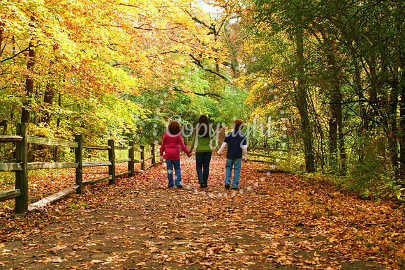 IMG_8645 - Copy