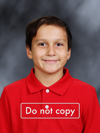 2311044075