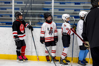 On Ice Action