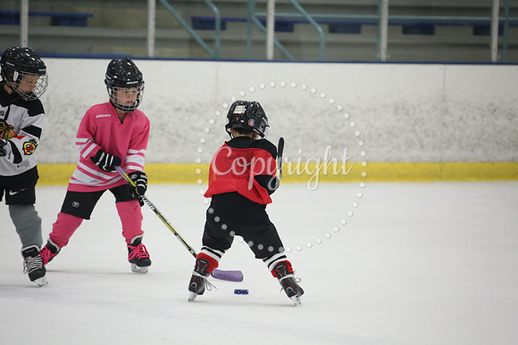 Games On The Ice (90)
