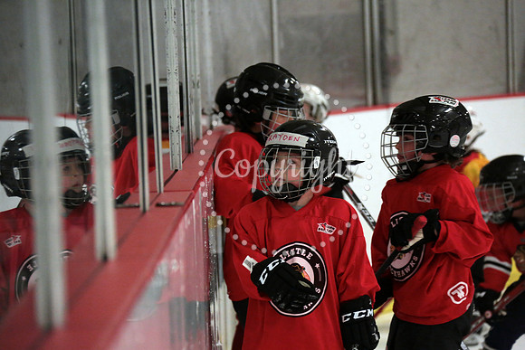 Skating with Blackhawks and Tommy Hawk (36)