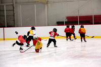 Skating with Blackhawks and Tommy Hawk (10)