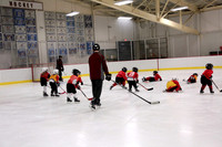 Skating with Blackhawks and Tommy Hawk (5)