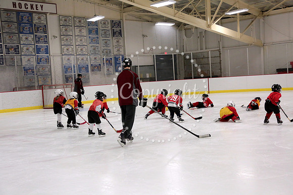 Skating with Blackhawks and Tommy Hawk (5)
