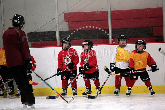 Skating with Blackhawks and Tommy Hawk (15)