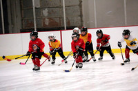 Skating with Blackhawks and Tommy Hawk (16)