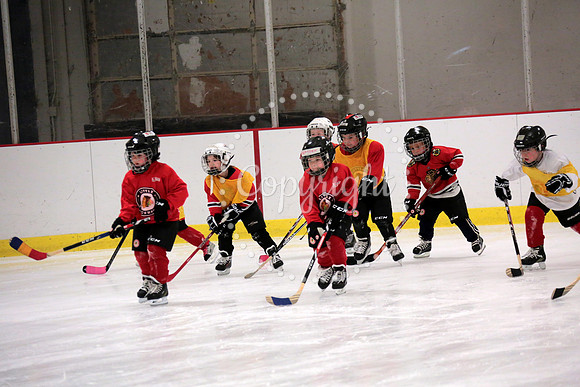 Skating with Blackhawks and Tommy Hawk (16)