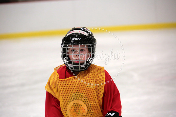 Skating with Blackhawks and Tommy Hawk (30)