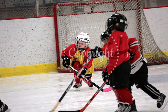 Skating with Blackhawks and Tommy Hawk (21)