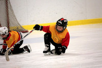 Skating with Blackhawks and Tommy Hawk (19)