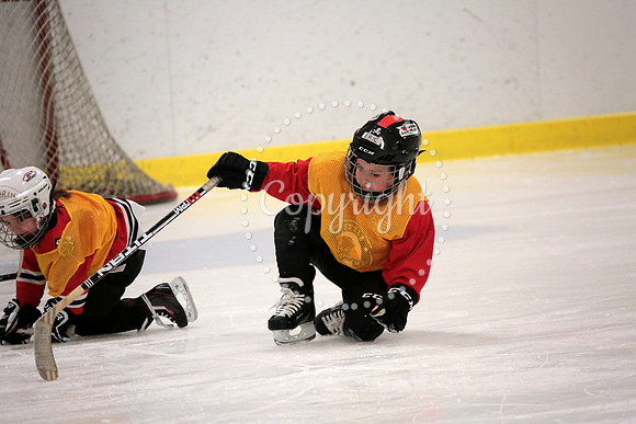 Skating with Blackhawks and Tommy Hawk (19)