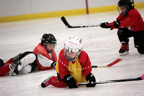 Skating with Blackhawks and Tommy Hawk (27)