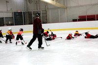 Skating with Blackhawks and Tommy Hawk (6)