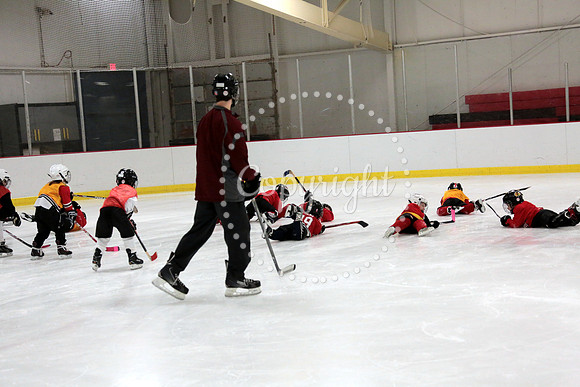 Skating with Blackhawks and Tommy Hawk (6)