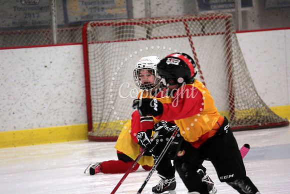 Skating with Blackhawks and Tommy Hawk (20)