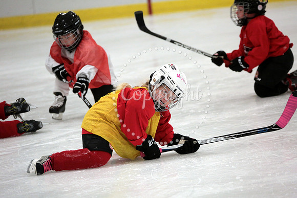 Skating with Blackhawks and Tommy Hawk (26)
