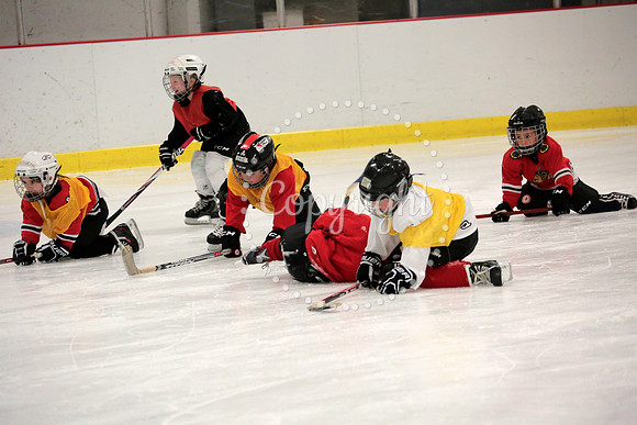 Skating with Blackhawks and Tommy Hawk (18)