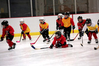 Skating with Blackhawks and Tommy Hawk (17)