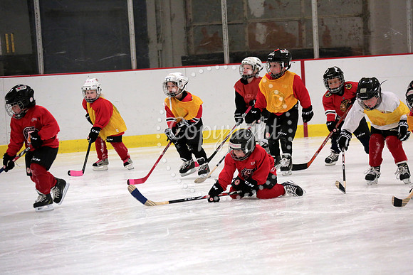 Skating with Blackhawks and Tommy Hawk (17)