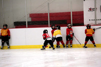 Skating with Blackhawks and Tommy Hawk (12)
