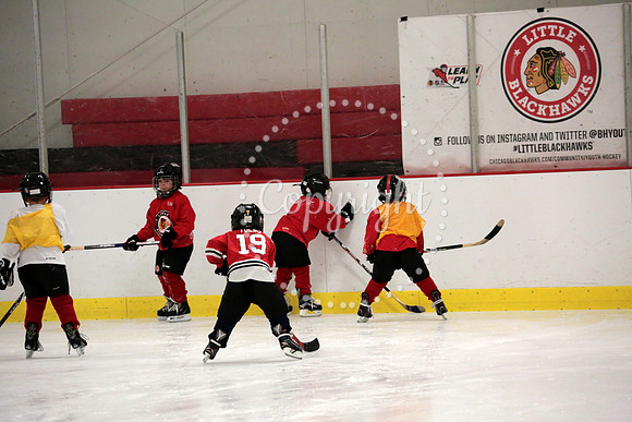 Skating with Blackhawks and Tommy Hawk (11)