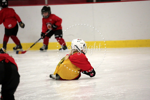 Skating with Blackhawks and Tommy Hawk (33)