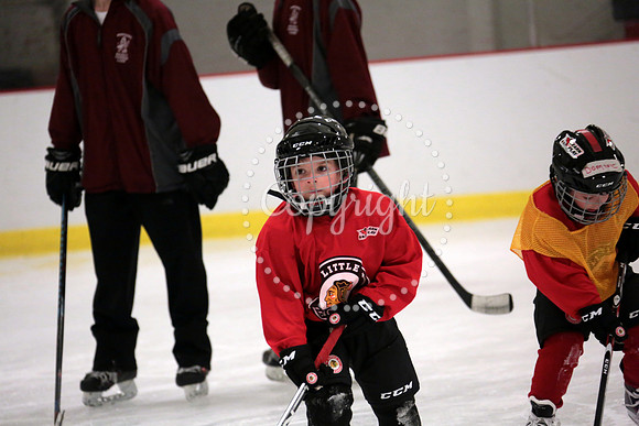 Skating with Blackhawks and Tommy Hawk (29)