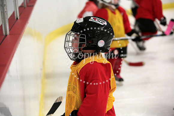 Skating with Blackhawks and Tommy Hawk (32)