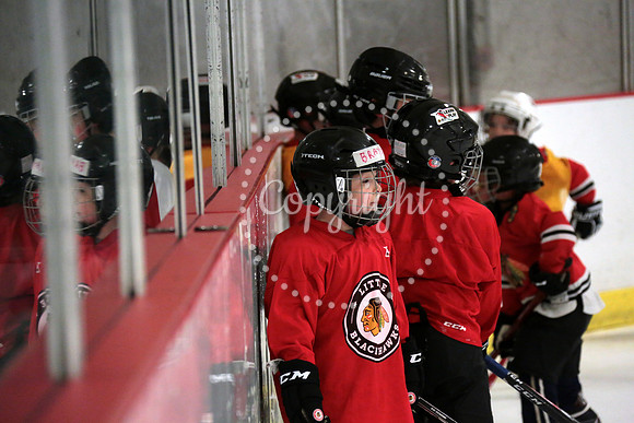 Skating with Blackhawks and Tommy Hawk (37)