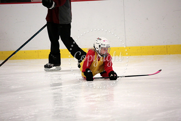 Skating with Blackhawks and Tommy Hawk (35)