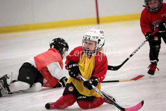 Skating with Blackhawks and Tommy Hawk (28)