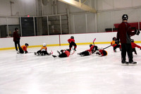 Skating with Blackhawks and Tommy Hawk (7)