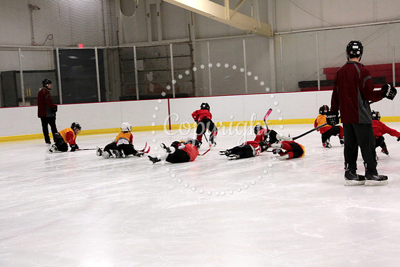 Skating with Blackhawks and Tommy Hawk (7)