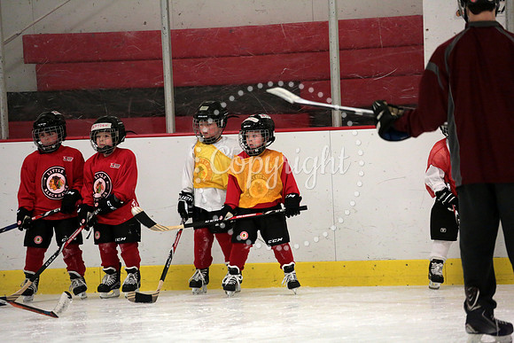 Skating with Blackhawks and Tommy Hawk (14)