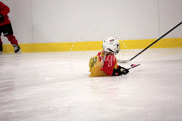 Skating with Blackhawks and Tommy Hawk (34)