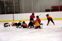 Skating with Blackhawks and Tommy Hawk (8)
