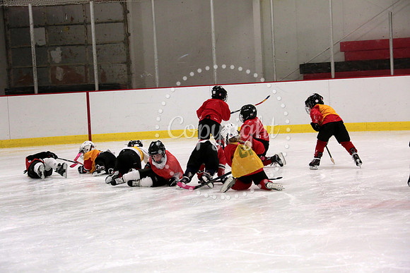 Skating with Blackhawks and Tommy Hawk (8)